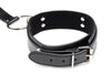 Neck to Wrist Restraints