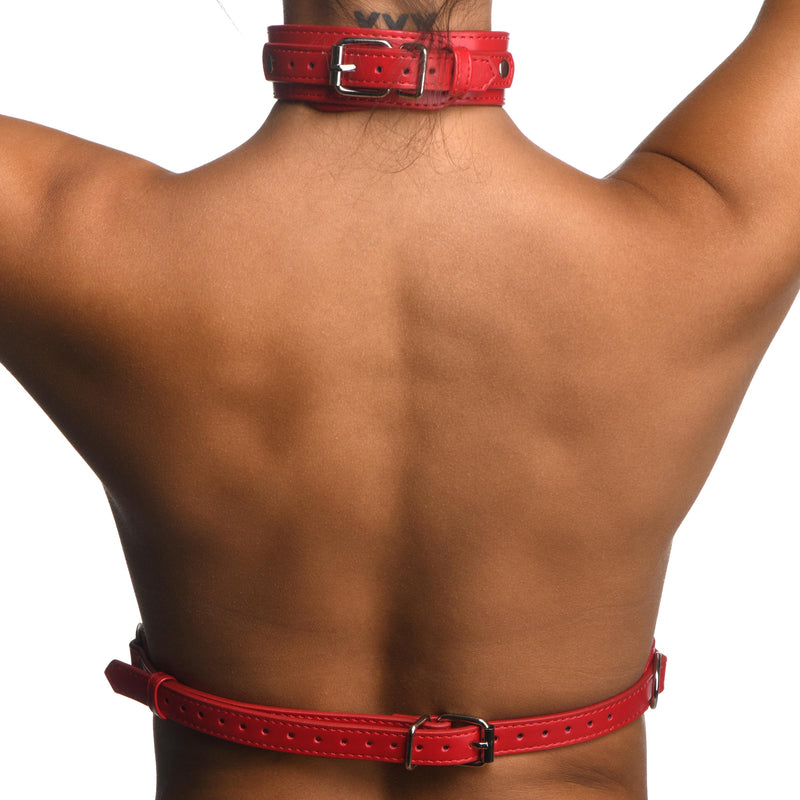 Red Female Chest Harness- Small/Medium