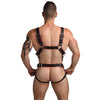 Heathen's Male Body Harness - S/M