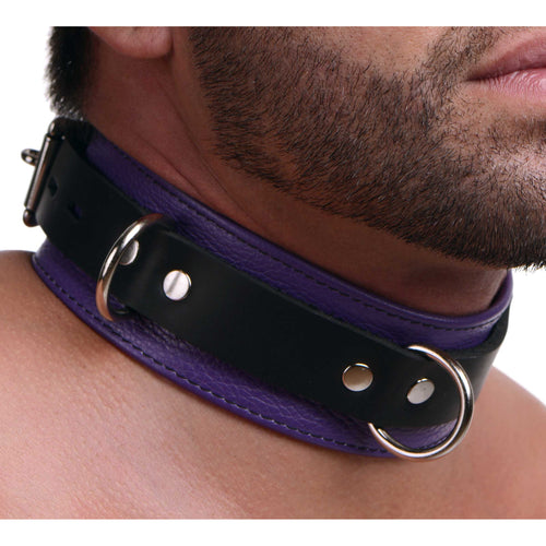 Strict Leather Deluxe Locking Collar - Purple and Black